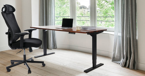Firmness of Walnut Wood