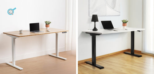 Prime Ryzer vs. Solo Ryzer: Which Should You Choose?