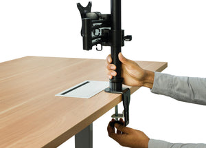 Complete Your <span>Desk</span>
