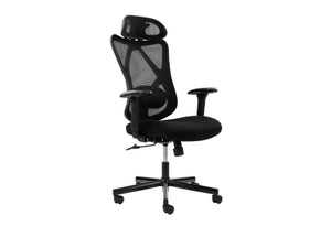 Ergonomic Office Chairs