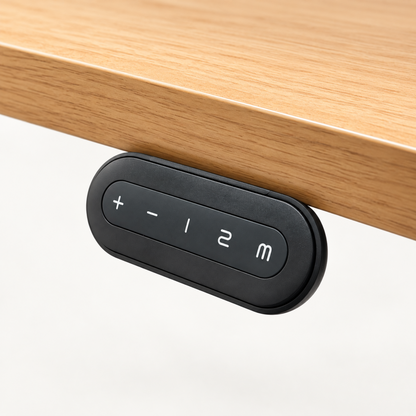 Standing Desk Hand Remote & RF Receiver - 2 Position Memory Function - Wireless Control