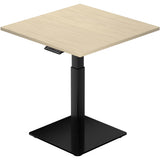 Mini Ryzer - Small Adjustable Standing Desk
