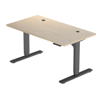 Solo Ryzer — Clean, Simple, Electric Sit Stand Desk