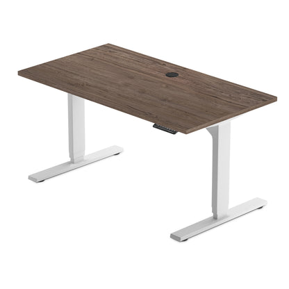 Solo Ryzer — Clean, Simple, Electric Sit Stand Desk