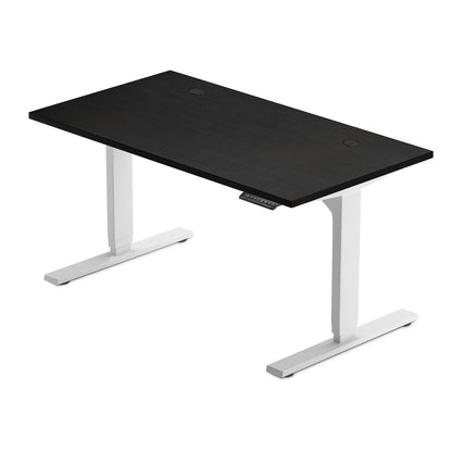 Solo Ryzer — Clean, Simple, Electric Sit Stand Desk