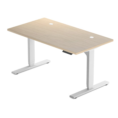 Solo Ryzer — Clean, Simple, Electric Sit Stand Desk