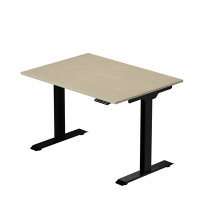 Prime Ryzer — Entry-Level Standing Desk