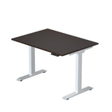 Prime Ryzer - Entry-Level Standing Desk