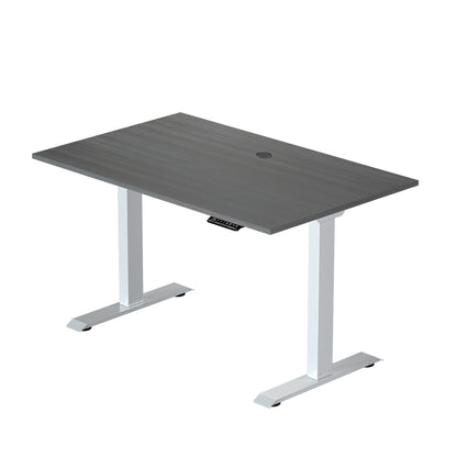 Prime Ryzer — Entry-Level Standing Desk