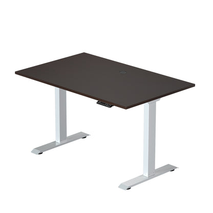 Prime Ryzer — Entry-Level Standing Desk