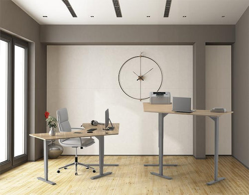 Dreams come true with an adjustable height desk
